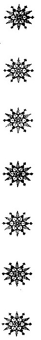 Snowflake Border